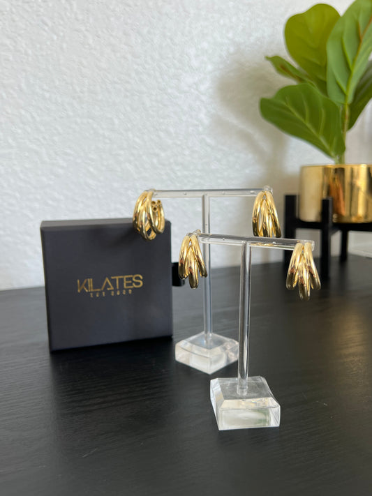PĂa Earrings